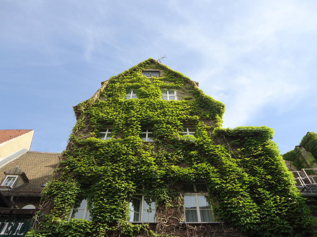 Hotel Am Ratshof à Halle  Extérieur photo